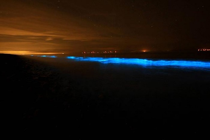 Magnificent and Breathtaking Blue Waves that Glow at Night 16 Sea_1570120a