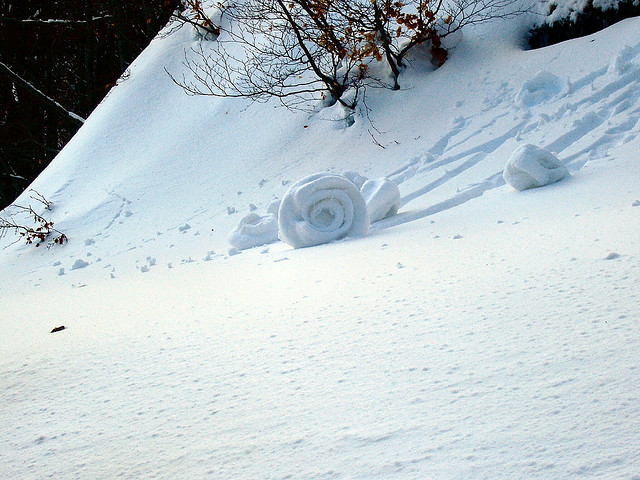 Snow-roller2