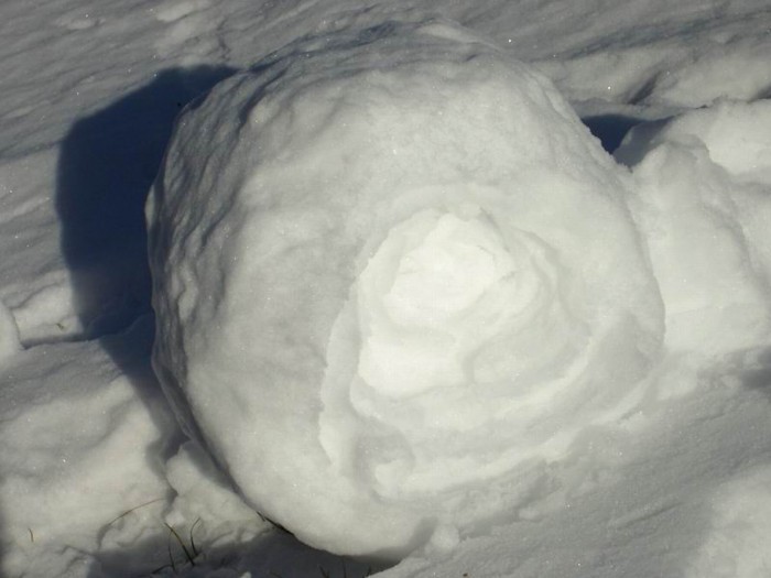 SnowRoll5 Stunning Snow Rollers that Are Naturally & Rarely Formed