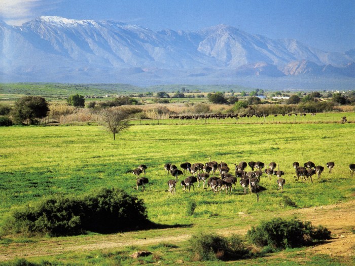 Adventure Travel Destinations to Enjoy an Unforgettable Holiday 43 South_Africa