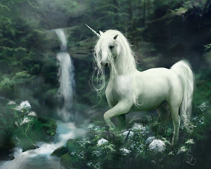 Unicorn-fantasy-30995379-1280-1024 Know 10 Points Of Information About The Unicorn