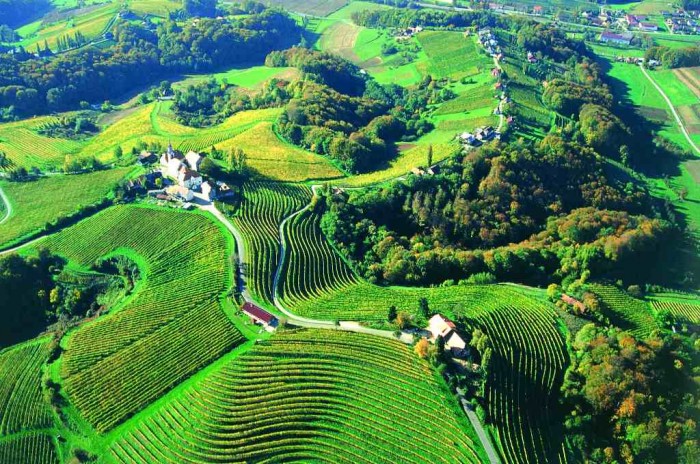 Adventure Travel Destinations to Enjoy an Unforgettable Holiday 54 Viticulture-And-Winemaking-In-Slovenia