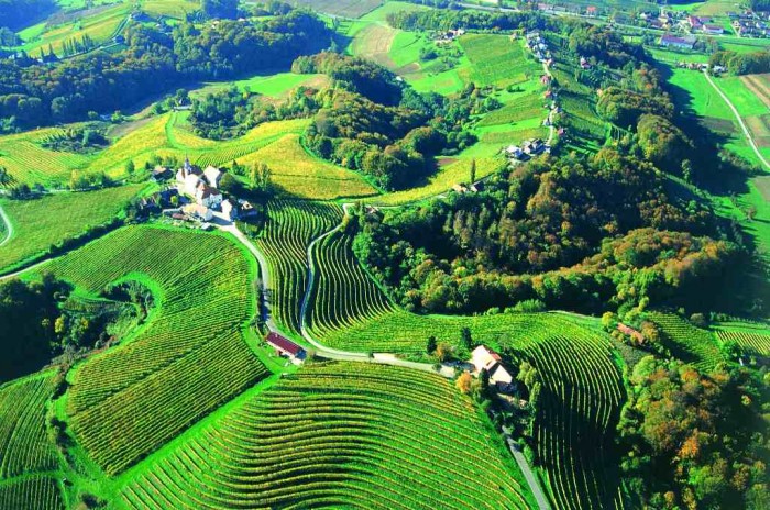 Viticulture-And-Winemaking-In-Slovenia