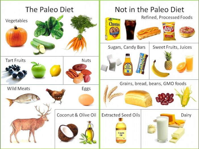 Whats-the-Paleo-Diet-3-801x600 The Guide to Paleo Diet