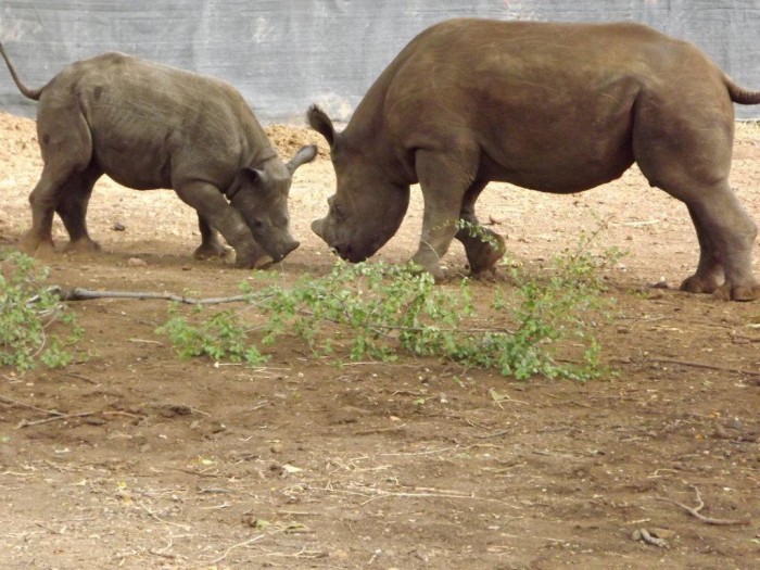 bb-and-lp-first-meeting