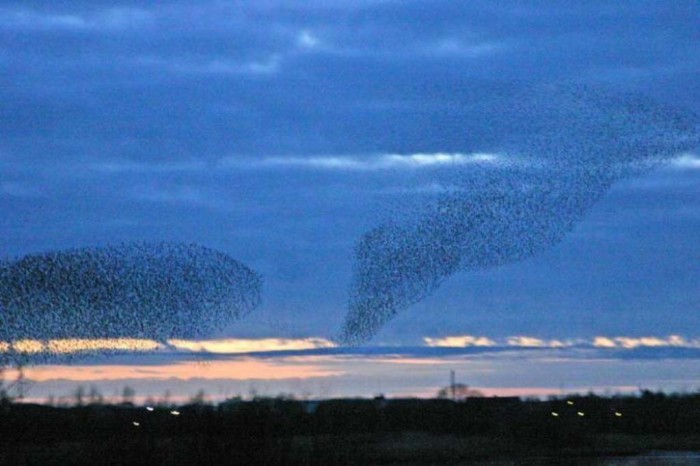 The Sun Turns Suddenly into Black, Do You Believe It? 9 black_sun_denmark_1
