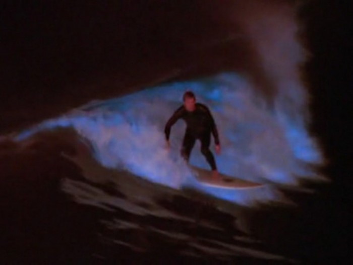 Magnificent and Breathtaking Blue Waves that Glow at Night 28 glowing-waves