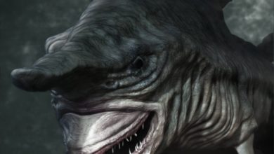 Have You Ever Seen Such a Scary & Goblin Shark with Two Faces? 22 goblin shark 20130314 11698140011 Have You Ever Seen Such a Scary & Goblin Shark with Two Faces? - 8