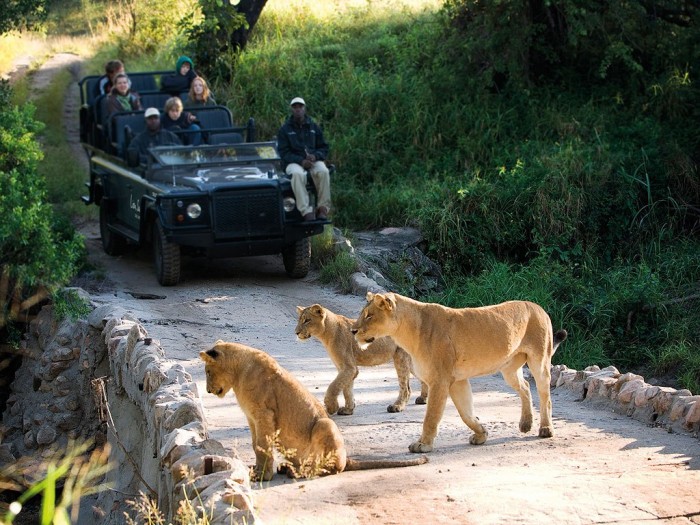 Adventure Travel Destinations to Enjoy an Unforgettable Holiday 44 item0.size.lion-sands-sabi-sand-kruger-nat-l-park-kruger-nat-l-park-south-africa-108016-2