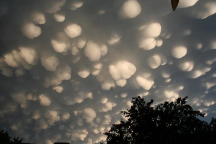 Have You Ever Seen These Stunning Clouds with Mammae? 5 mammatus clouds Regina June 25