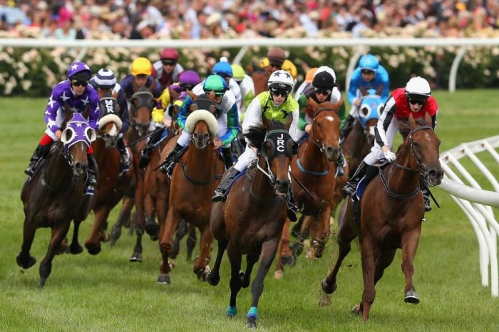 melb-cup-races Melbourne Cup Is a Rich & Prestigious Horse Race that Stops a Nation