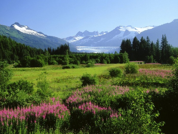 Adventure Travel Destinations to Enjoy an Unforgettable Holiday 28 mendenhall_glacier_alaska_wallpaper-normal