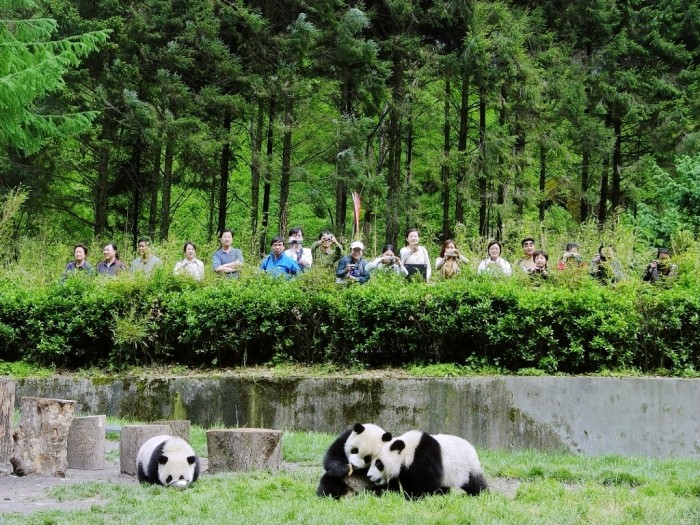Easy to Follow Tricks & Secrets for Taking Better Digital Photographs 13 nature-tourism-photo