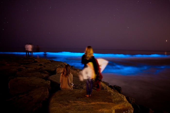 Magnificent and Breathtaking Blue Waves that Glow at Night 29 orange-county520-71