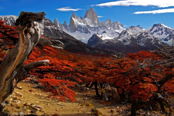 patagonia-argentina Adventure Travel Destinations to Enjoy an Unforgettable Holiday