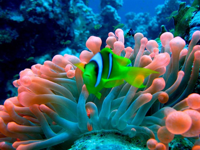 Adventure Travel Destinations to Enjoy an Unforgettable Holiday 4 red-sea