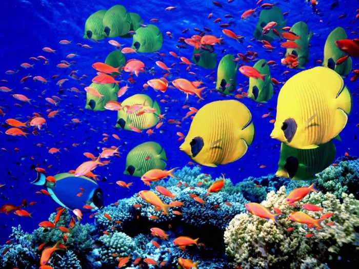 Adventure Travel Destinations to Enjoy an Unforgettable Holiday 3 redsea