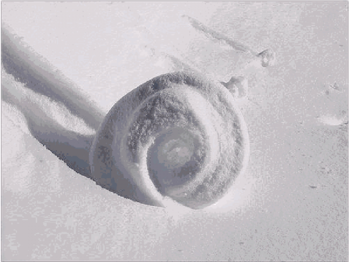 snow10 Stunning Snow Rollers that Are Naturally & Rarely Formed
