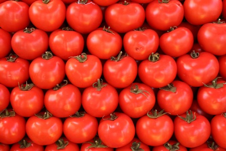 Are Tomatoes Fruits Or Vegetables?! 4 t1
