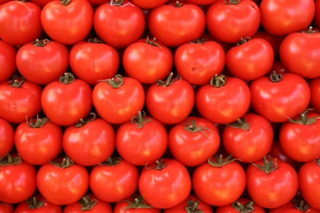t1 7 Amazing Health Facts About Tomatoes
