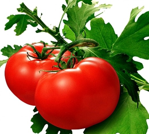 Are Tomatoes Fruits Or Vegetables?! 3 t6