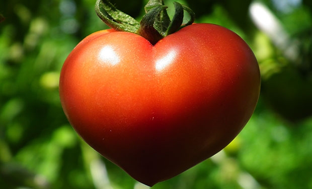 t7 7 Amazing Health Facts About Tomatoes