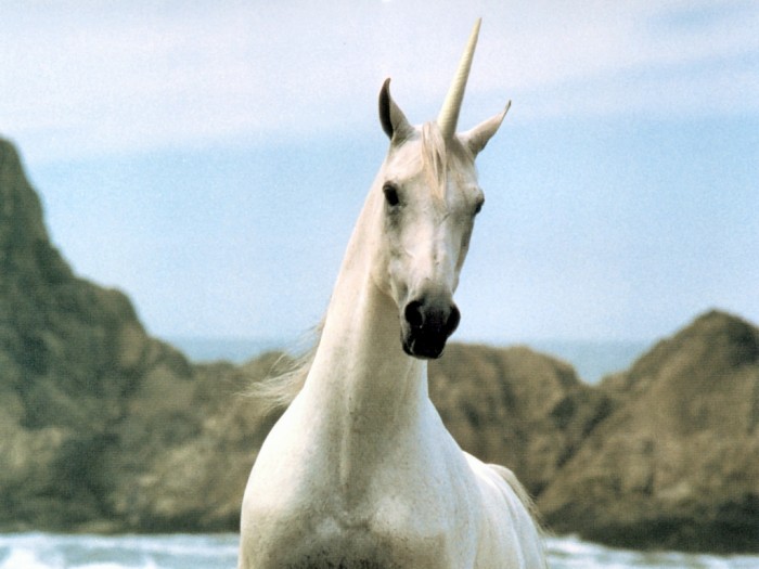 unicorn-realistic