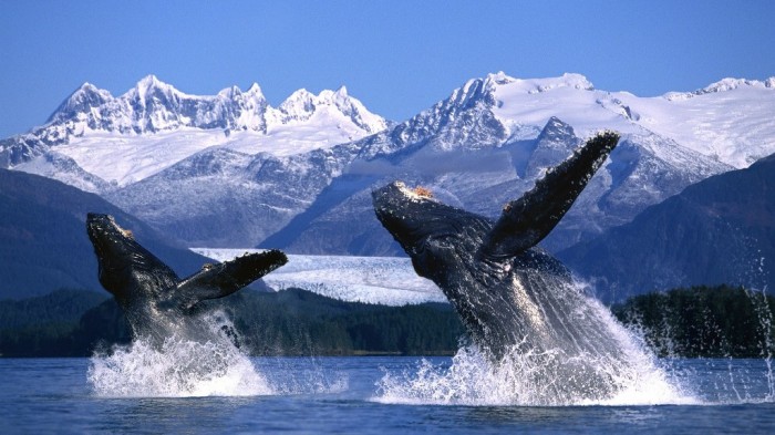 Adventure Travel Destinations to Enjoy an Unforgettable Holiday 25 wallpaper-1431305