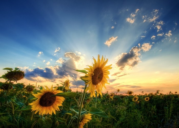 Improve Your Photography Skills Following These Tips 17 10213_Amazing-Photography-2