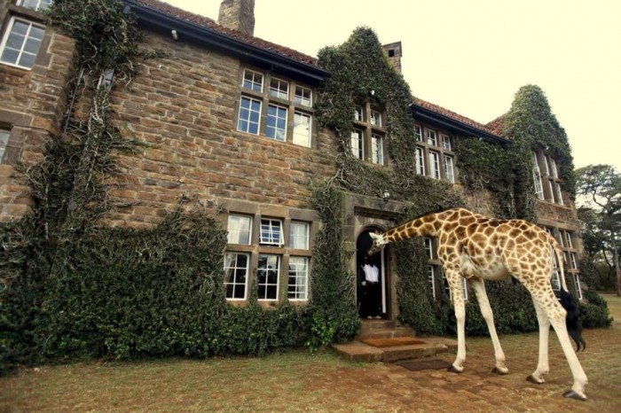 Top 30 World's Weirdest Hotels ... Never Seen Before! 13 1231