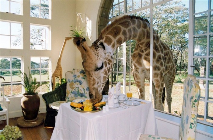 Top 30 World's Weirdest Hotels ... Never Seen Before! 18 449AC912EFF625229708C9B92BEB9