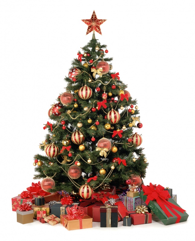 65656668978 79 Amazing Christmas Tree Decorations