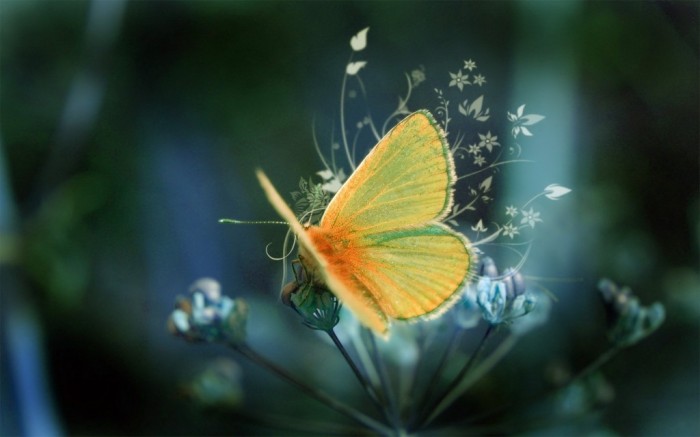 Improve Your Photography Skills Following These Tips 14 Amazing-photography-051-1024x640