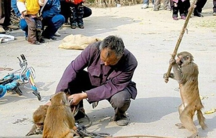 Improve Your Photography Skills Following These Tips 37 Animals-attack-human-funny-photo-3