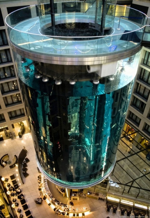 Aquadom_Aquarium_Raddison_Blu_4 The World's 20 Weirdest & Craziest Elevators