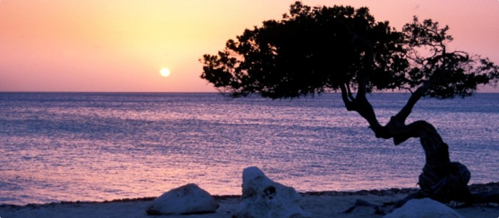 Top 10 Romantic Vacation Spots for Couples to Enjoy Unforgettable Time 31 Aruba-960-x-420