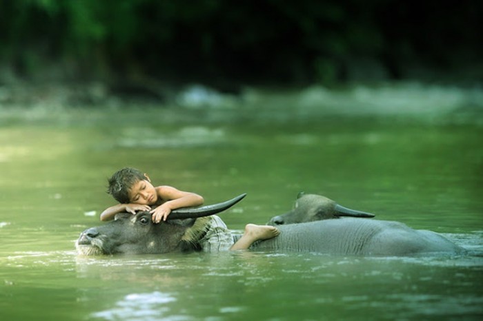 Improve Your Photography Skills Following These Tips 34 Beautiful Photography by Asit73104-F