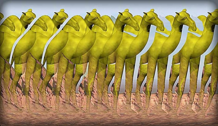 Camel__3D_Stereogram_by_3Dimka Challenge Your Mind Through Playing These Famous Mind Tricks