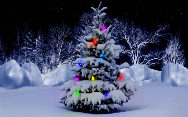 Christmas-Tree-With-Full-of-Lights-and-Snow-Decoration 79 Amazing Christmas Tree Decorations