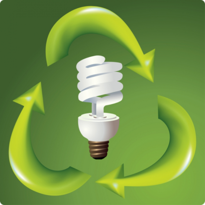 Energy-Saving-Bulb-resized-600 13 Easy-to-Follow Tips for Operating a Green Business