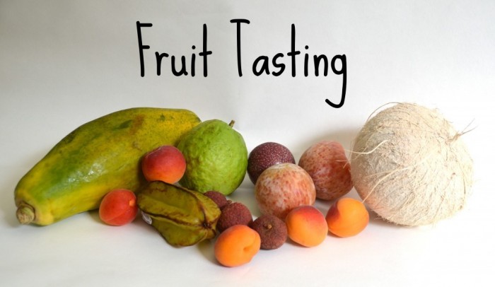 Fruit-Tasting-1024x595