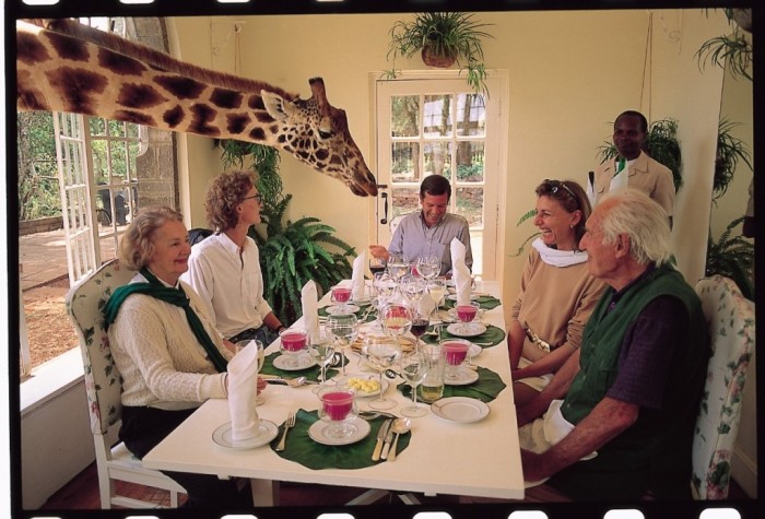 Top 30 World's Weirdest Hotels ... Never Seen Before! 17 Giraffe-Manor5