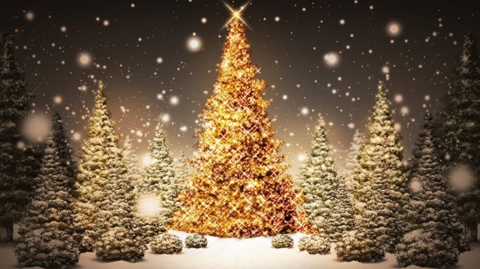 Did You Throw Your Christmas Tree? If It Is Not, Don’t Do This 2 Glowing-Christmas-Trees-FullHDWpp.com-2