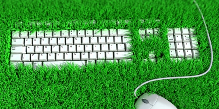 13 Easy-to-Follow Tips for Operating a Green Business 20 GrassKeyboard_cropped1