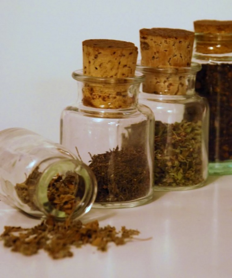 HERBS-IN-JARS 10 Easy-to-Follow Cooking Tips to Increase Your Savings
