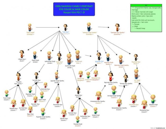 Research Your Family History to Know Who You Are 9 Navjot_Virk_Pedigree