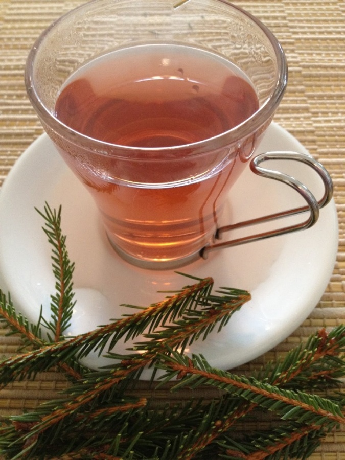 Did You Throw Your Christmas Tree? If It Is Not, Don’t Do This 5 Ready to drink