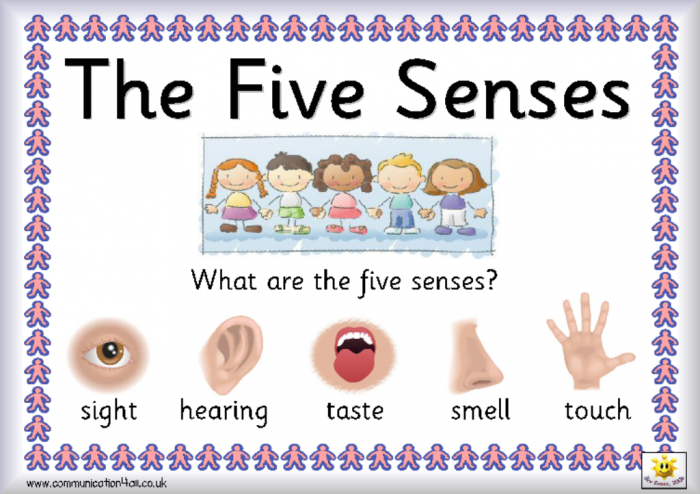 Senses1