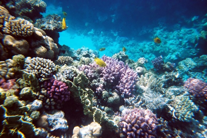 Top 10 Romantic Vacation Spots for Couples to Enjoy Unforgettable Time 19 Sharm el Sheikh Wallpaper