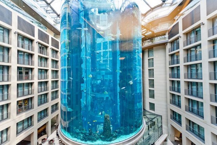 The-Aquadom-Henrik-Berggren-Flickr The World's 20 Weirdest & Craziest Elevators